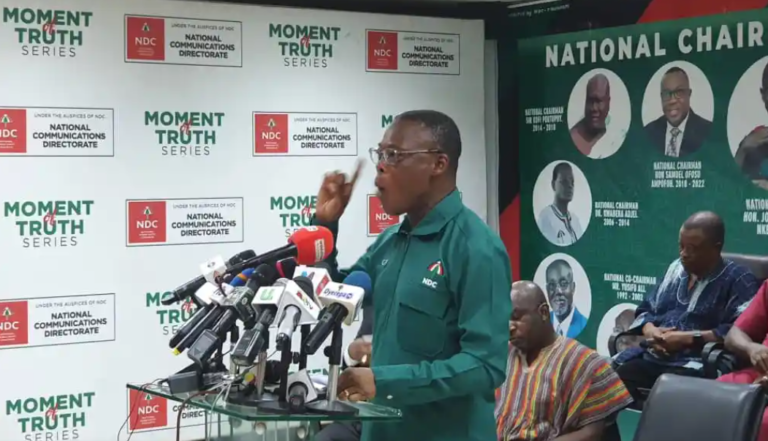 Image of Fifi Kwetey, General Secretary (NDC)