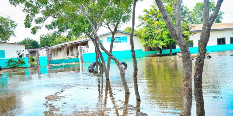 Akosombo Dam spillage: Victims yet to benefit from govt’s GH¢80m cash – Ablakwa