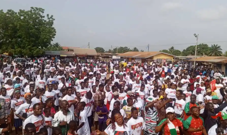 NDC’s “24 Hour Economy Walk” unites thousands in Volta Region