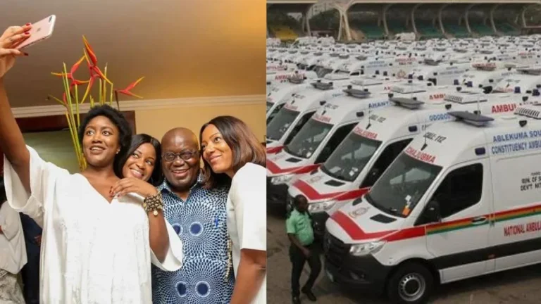 Stephen Okoro, Akufo-Addo’s son-in-law behind the ‘stinking’ .9m ambulance spare parts deal – Ablakwa