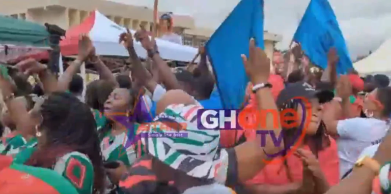 NDC supporters jubilate ahead of 2024 manifesto launch