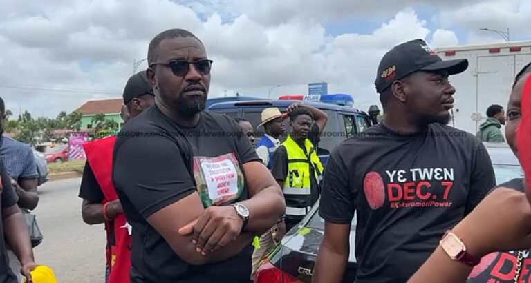 Dumelo, Afia Odo, others join day three of anti-galamsey protest