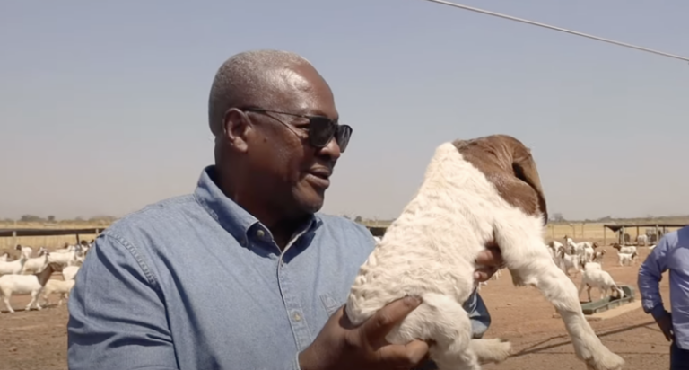 Farming is my life, and it’s my retirement plan – Mahama